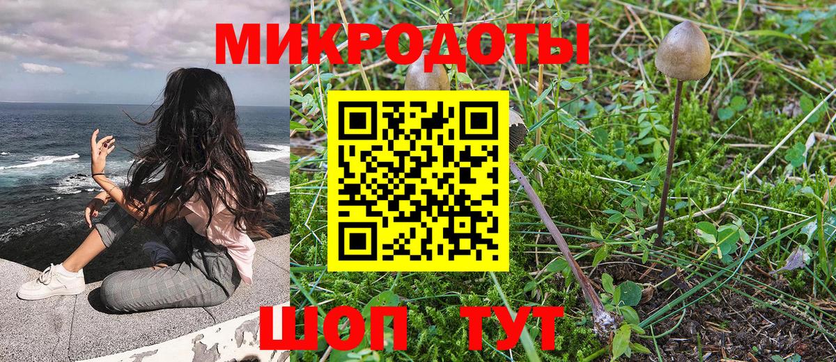 Галлюциногенные грибы прущие грибы Ачхой-Мартан